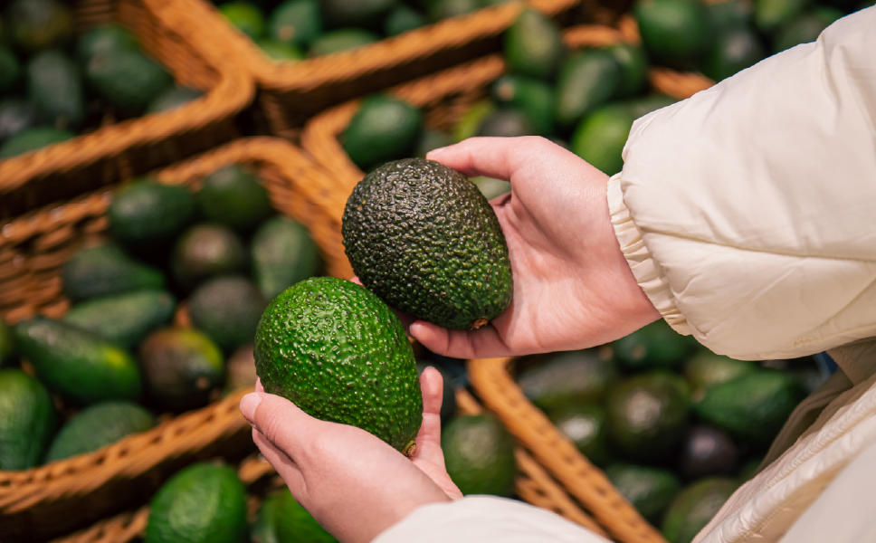 Análisis del desarrollo agrícola de Perú en 2025
