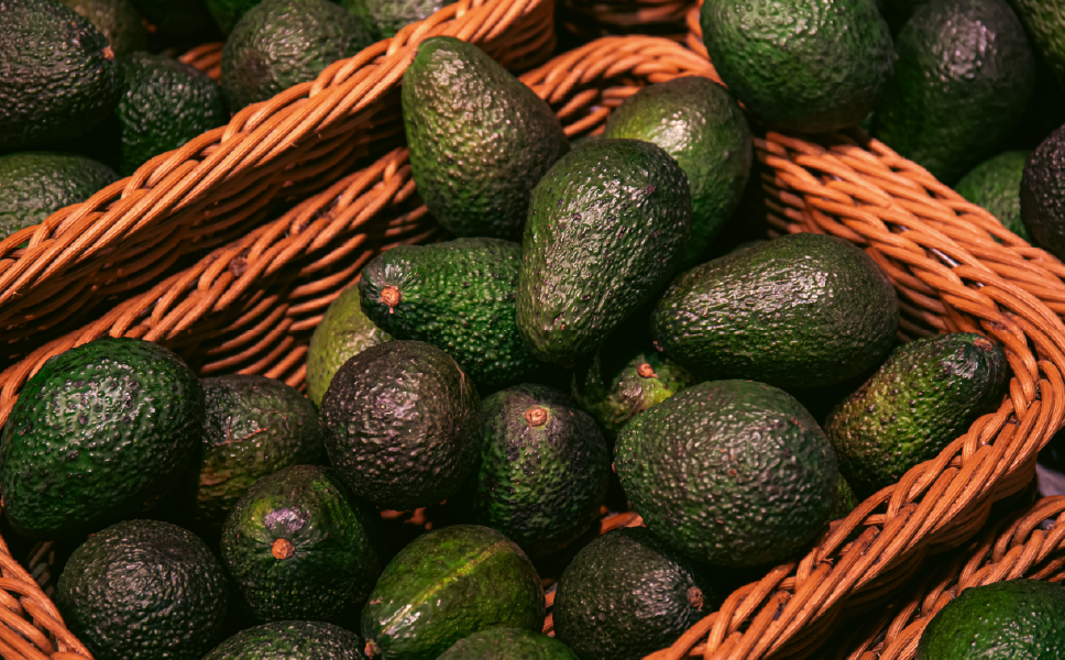 Perú proyecta leve repunte en exportación de palta en 2025